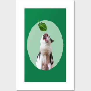 My Fav Food Is Kale Posters and Art